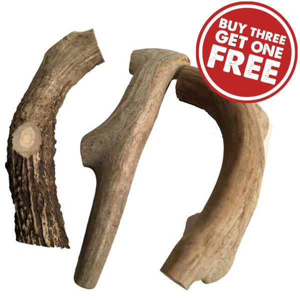 Natural antlers for clearance puppies