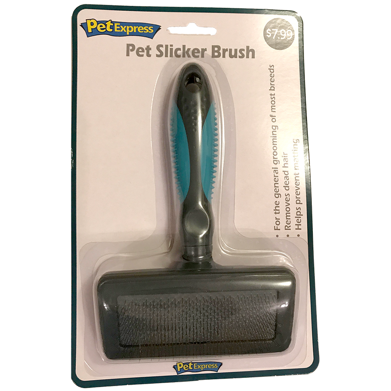 Dog brush price online